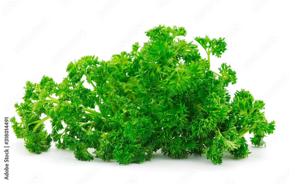 Fresh green organic parsley. Fresh green organic parsley.