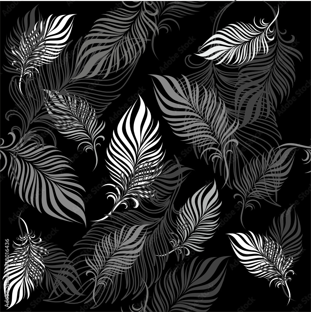 feathers indians feathers indians