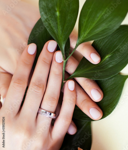 pretty perfect woman hands with white manicure and green leaf on colorful background with wood, spa cosmetic concept