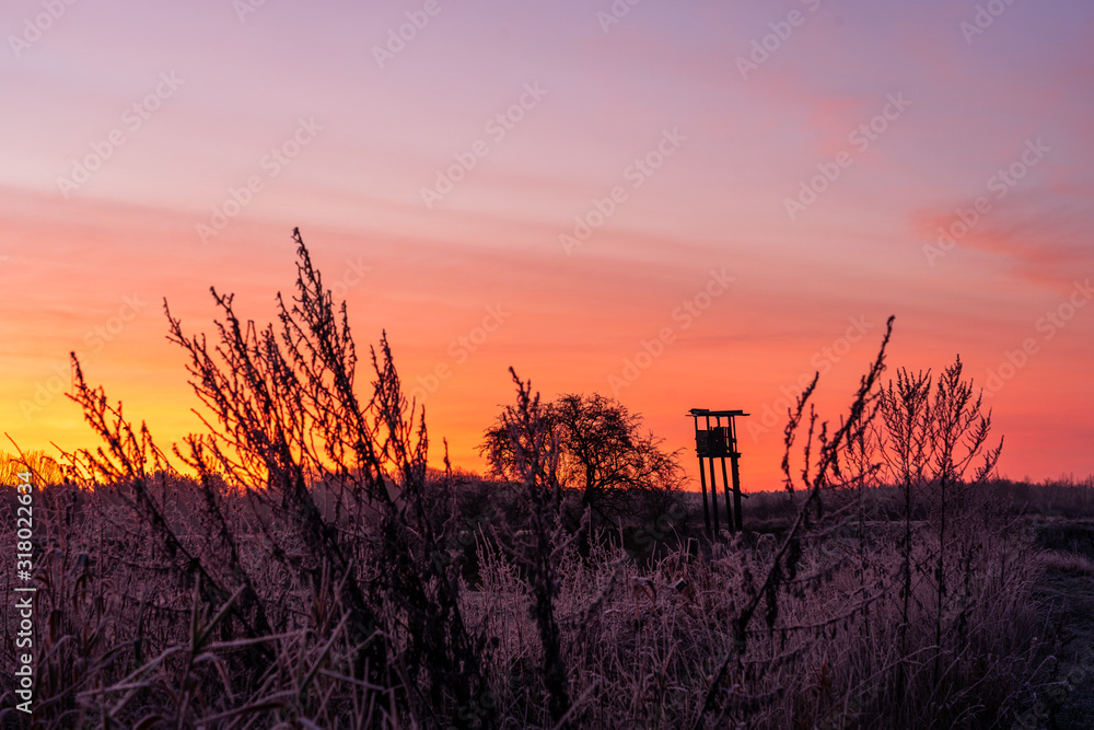 Hunting tower in rough nature in winter morning