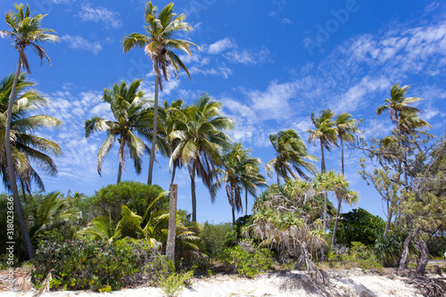 The beautiful beach in Ouvea island