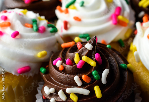 closeup of chocolate and vanilla cupcakes with colored sprinkles