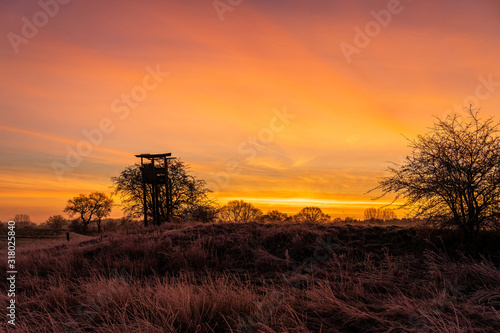 high seat hunting winter sunrise nature