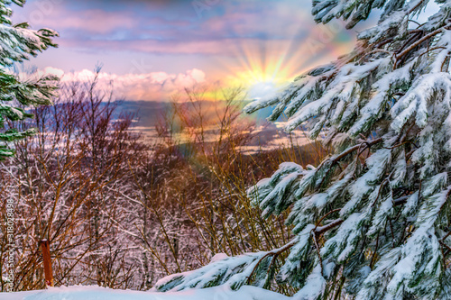 Panoramic View of Mountains and Trees Covered by the Snow in Winter at Colored Sunrise