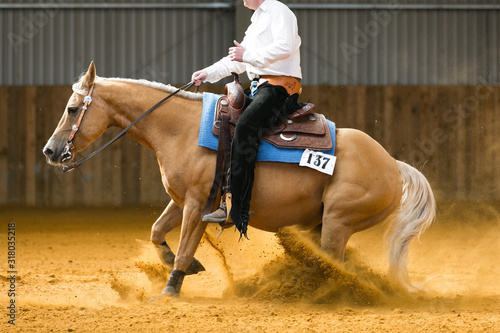 equestrian reining photo
