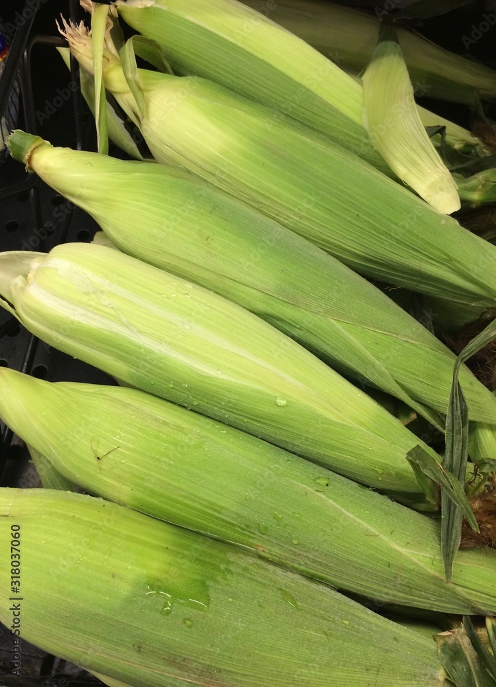 fresh corn at the market