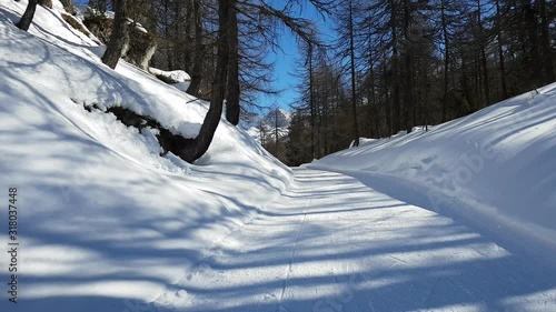 dans les bois enneigé - Suisse