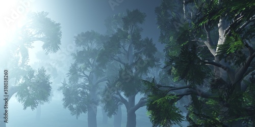 Beautiful park in the fog  trees in the haze  morning forest in the smoke  3D rendering