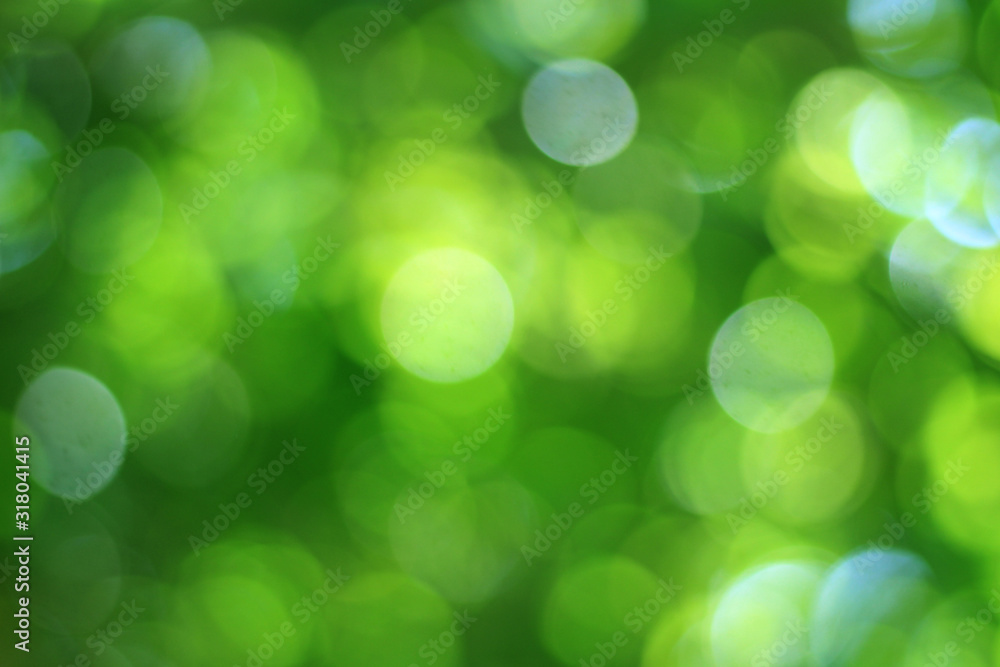 Fototapeta premium abstract green bokeh background
