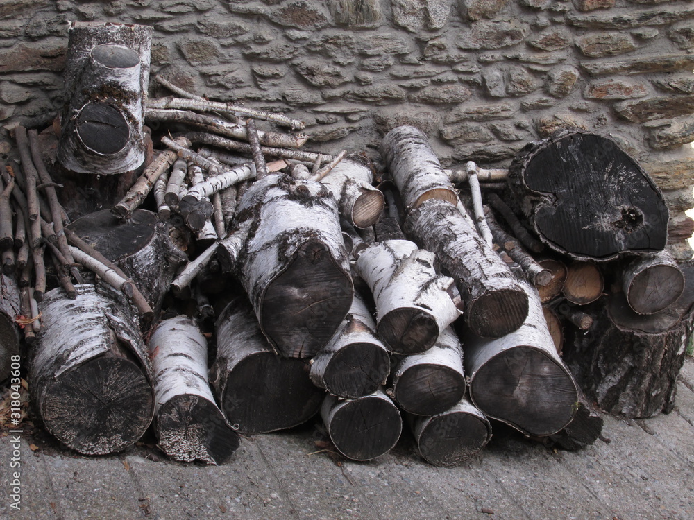 Fototapeta premium MADERA DE ABEDUL APILADA