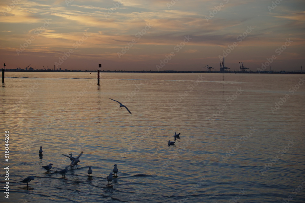 Seagulls and a sunset at St Kilkda, Melbourne