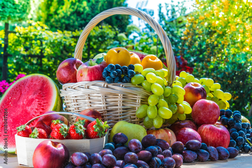 Variety of fresh ripe fruits in the garden. Variety of fresh ripe fruits in the garden.