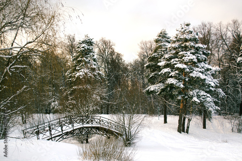 A bridge over a frozen river in a winter forest © Daniel