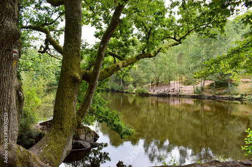 plan d'eau le miroir aux Fées forêt de Brocéliande france 