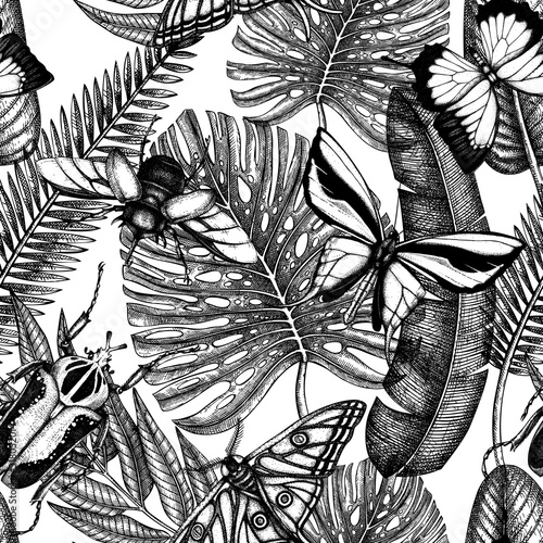Tropical insects seamless pattern. Vector backdrop with hand drawn tropical plants,  palm leaves, insects. Vintage entomological background. Jungle design with tropical palms leaves and insects.