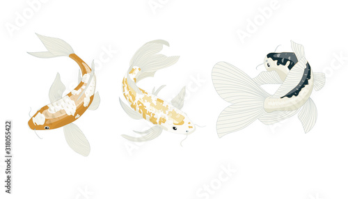 Koi Fish Element Vector Pack Separate Carp Collection