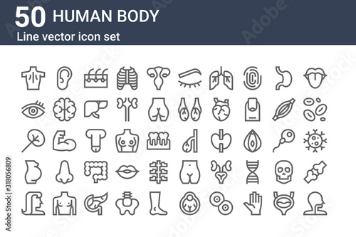 set of 50 human body icons. outline thin line icons such as larynx, hair, pregnant, spleen, eye, ear