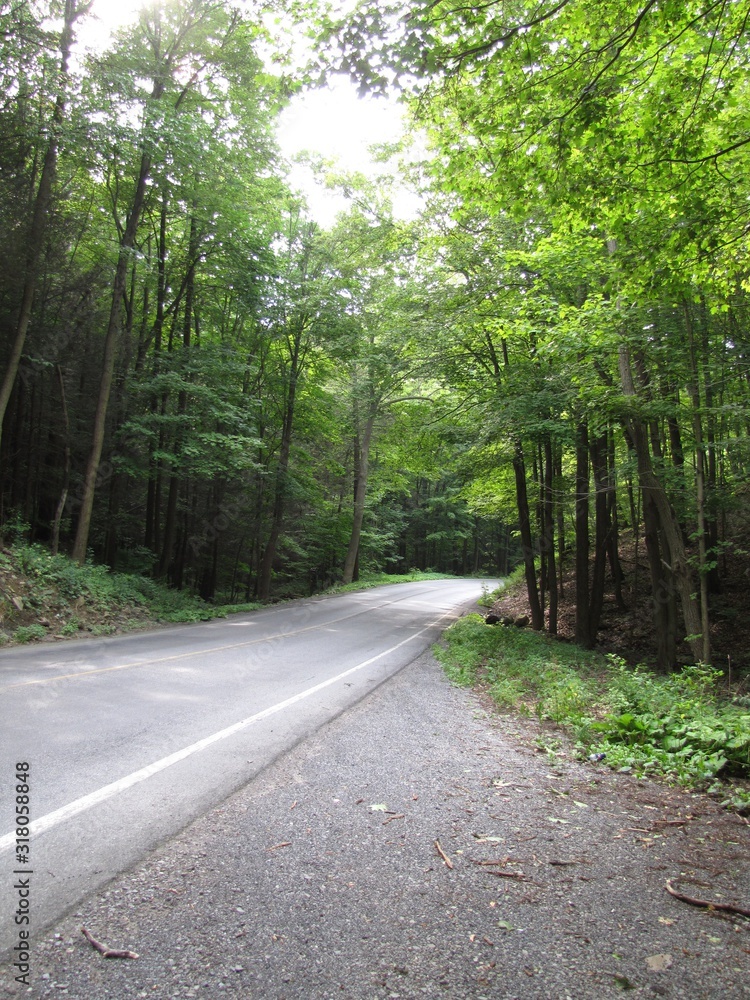 Fototapeta premium Country Joy Ride