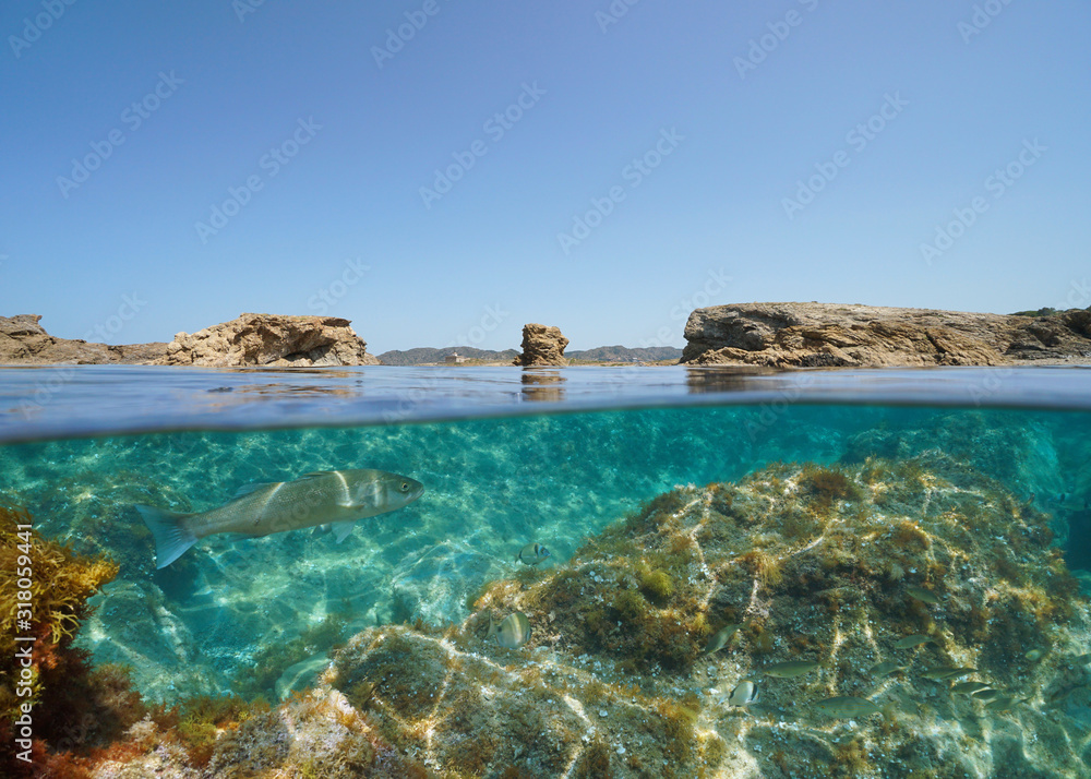Mediterranean seascape, rocky coastline with fish underwater, split view over and under sea surface, Spain, Costa Brava, Catalonia, El Port de la Selva, Cap de Bol