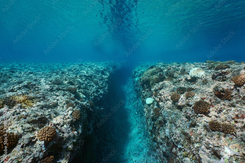 Rocky reef eroded by the swell, a trench on the ocean floor, underwater seascape, Pacific ocean, French Polynesia