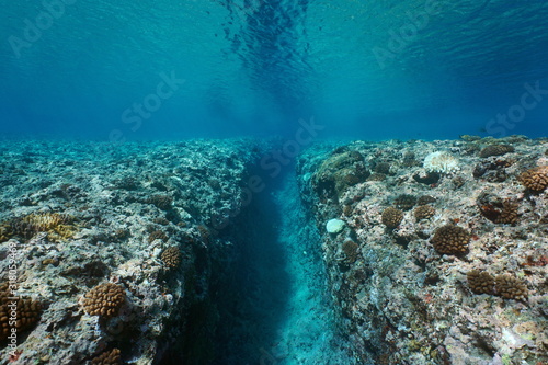 Rocky reef eroded by the swell, a trench on the ocean floor, underwater seascape, Pacific ocean, French Polynesia