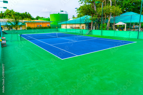 Part of the tennis court with markup. Artificial surface green s