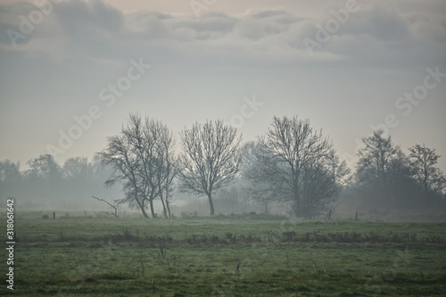 Wallpaper Mural Landschaft im Nebel Torontodigital.ca