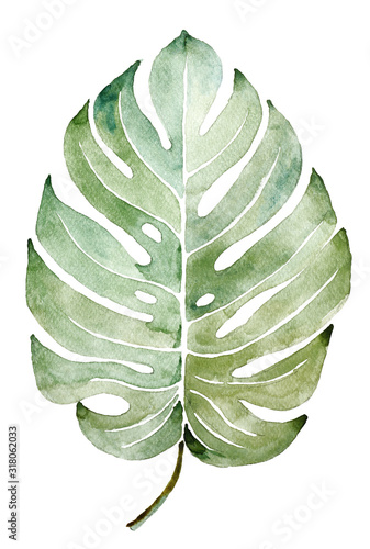 Beautiful watercolor tropical leaf painted on white paper, top view