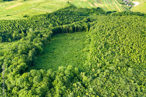 Top down aerial view of green summer forest with large area of cut down trees as result of global deforestation industry. Harmful human influence on world ecology. © bilanol