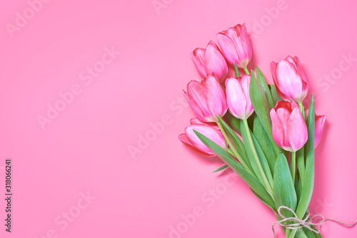 Pink tulip bouquet on painted pink background. Space for text. Top view. © Vita