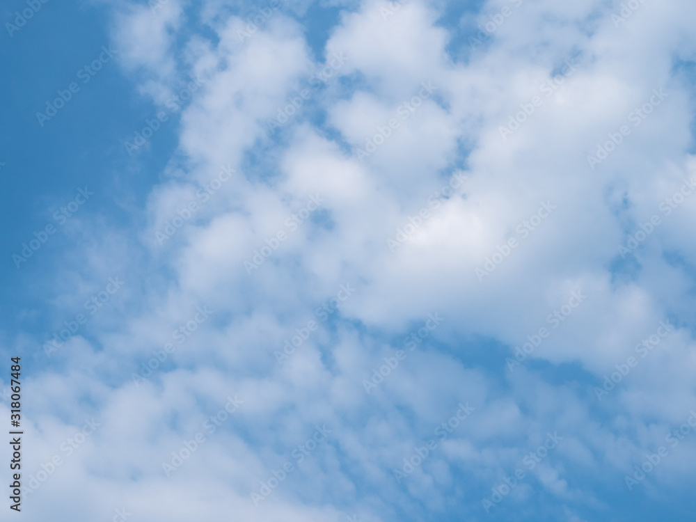 Obraz premium The blue sky on earth. Low Angle