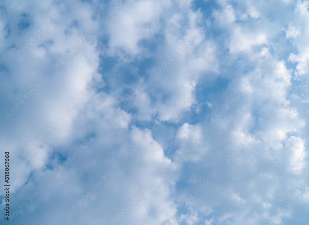 Fototapeta premium The blue sky on earth. Low Angle