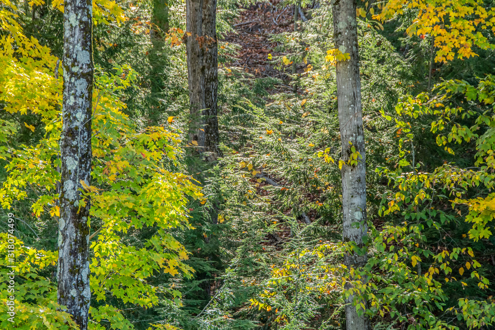 Adirondacks in the fall