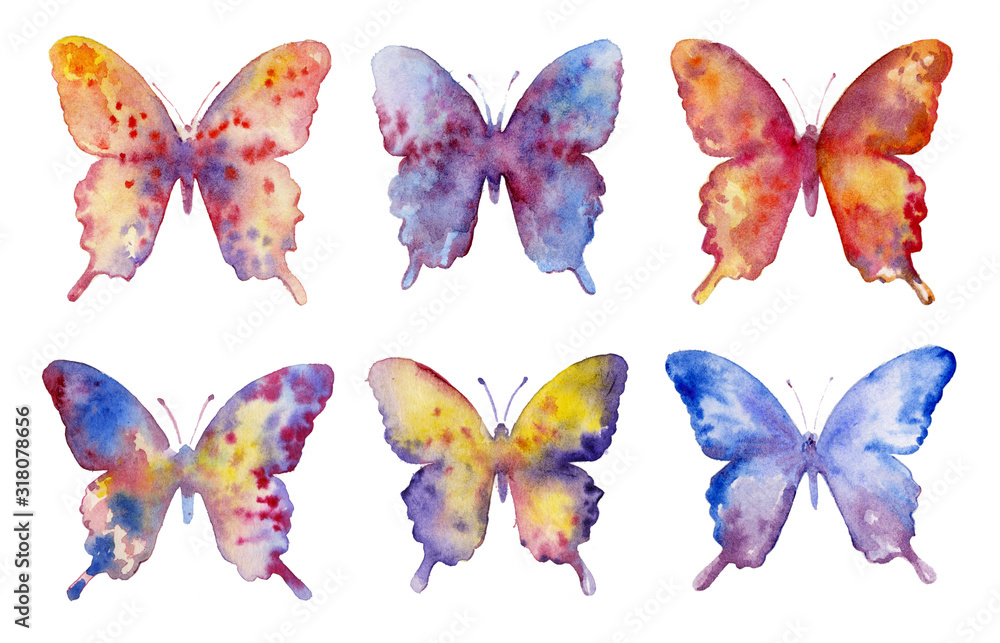 Collection of butterflies, a set of elements for design and creativity. Moths on a white background.