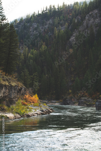 From the middle of the Snake River, Wyoming. photo