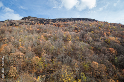 Burnt highlands of a mountain after a fire in the distance and foreground autumn colored trees