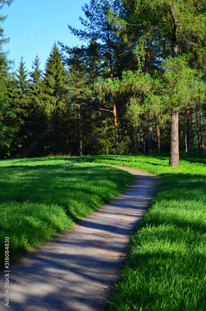 path in the park path in the park
