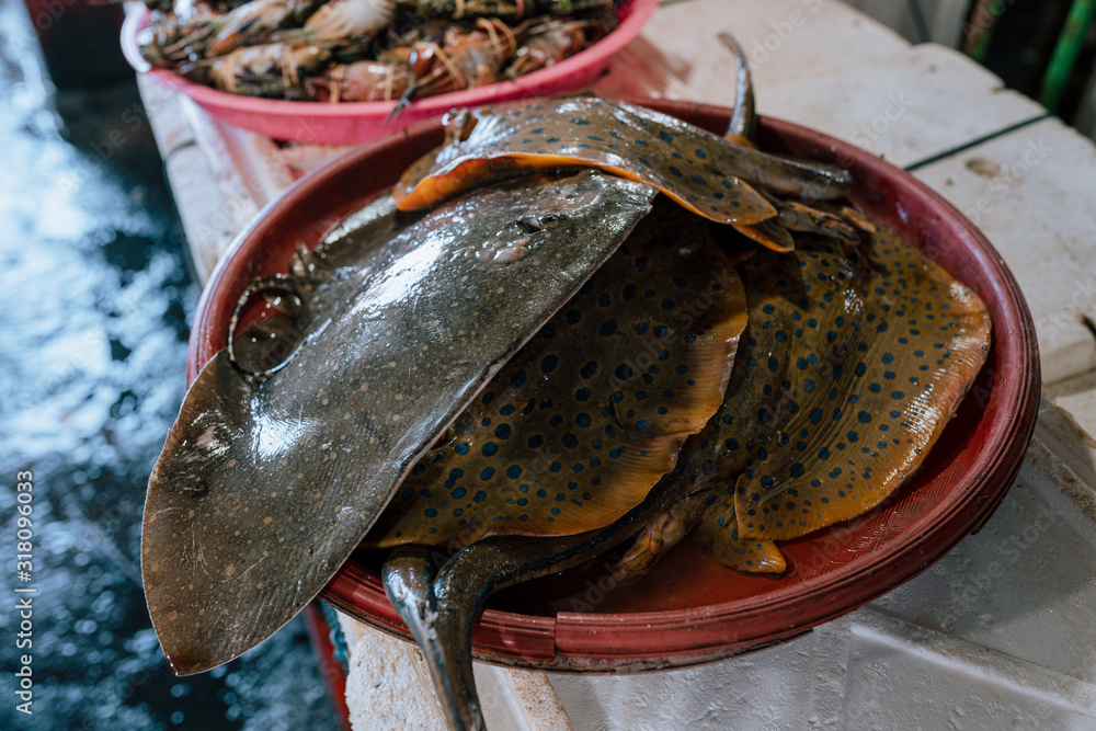 Original round fish selling in the fish market in Kedonganan Passer