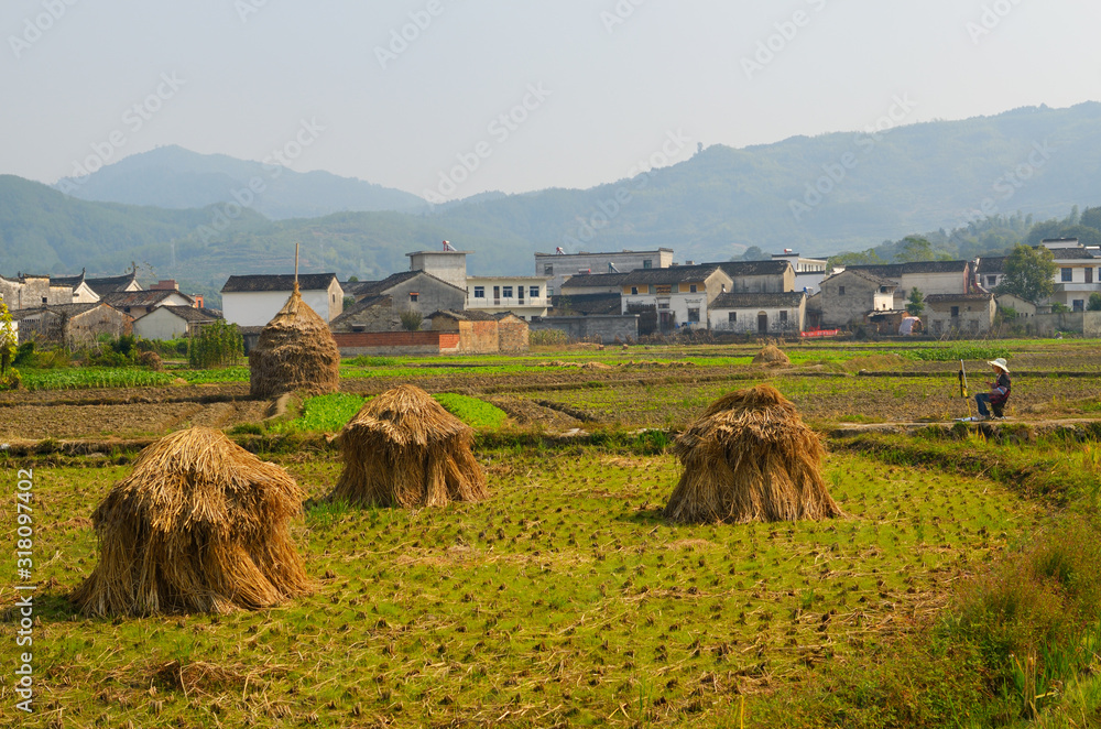 Obraz premium Young female art student painting haystacks and Hui style houses in farm field at Yanggancun village China