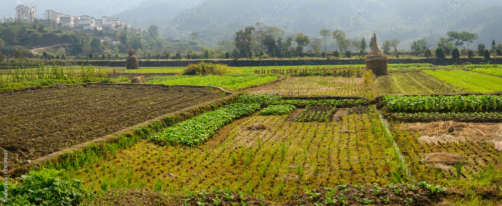 Panorama of Hilltop village and cultivated farm fields at Yanggancun village China