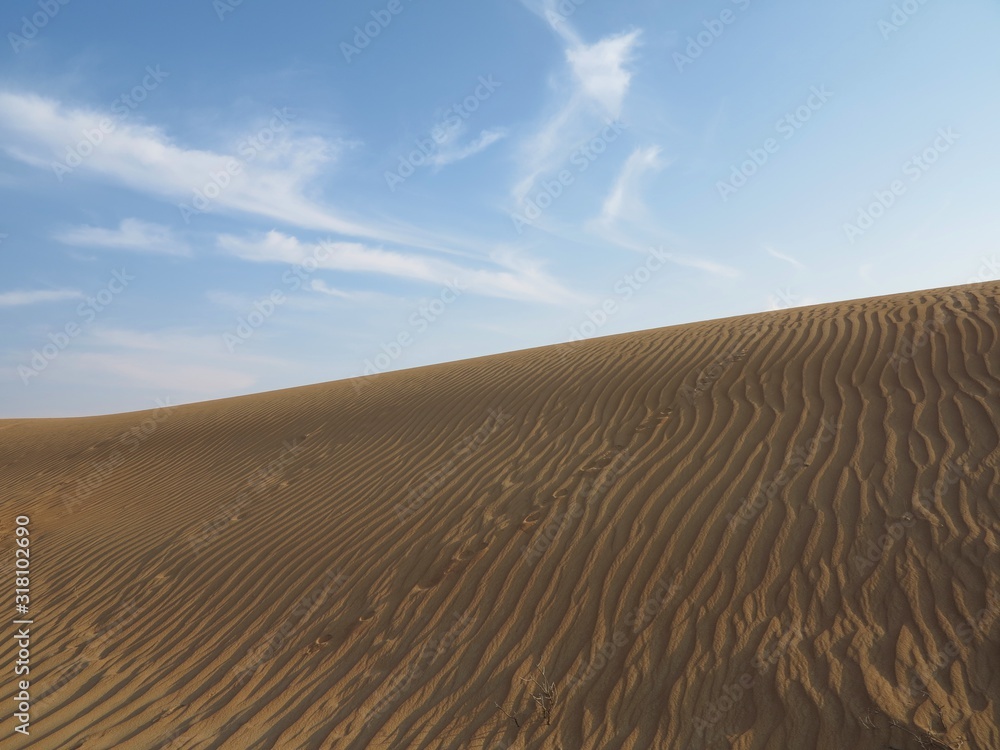 Naklejka premium sand dunes in the desert
