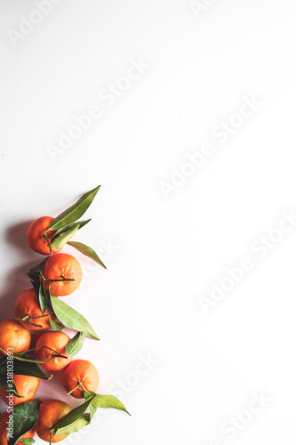 Oranges fruits composition with green leaves on white wooden background, top view