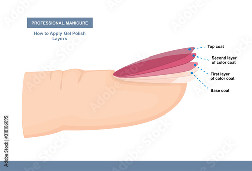 How to Properly Apply Gel Polish. Layers. Professional Manicure Tutorial. Vector illustration photo