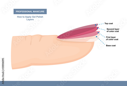 How to Properly Apply Gel Polish. Layers. Professional Manicure Tutorial. Vector illustration