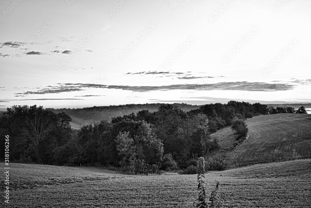 Fototapeta premium Black and white upload