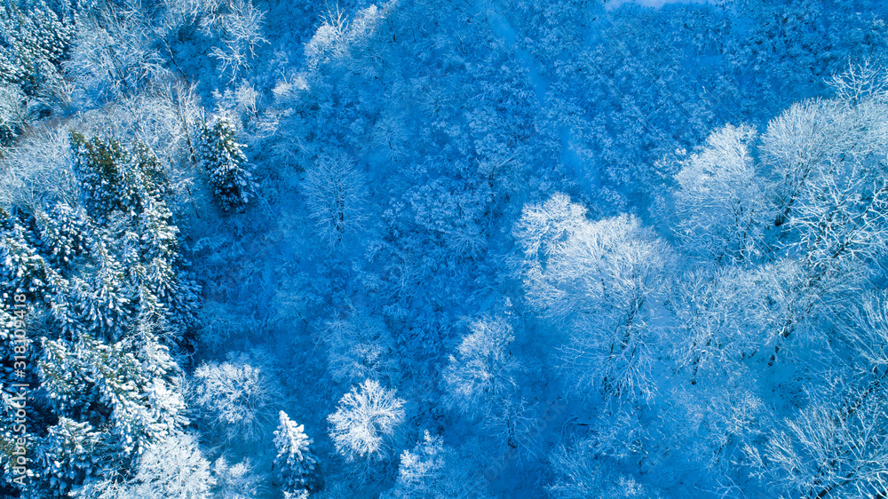 Fototapeta premium 雪山・ドローン