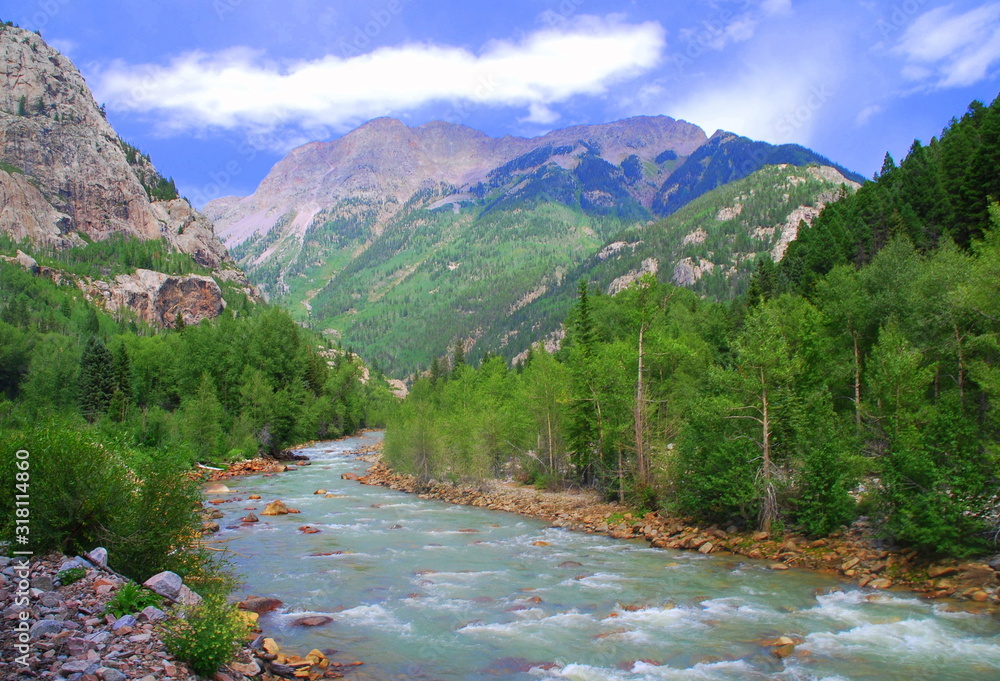Scenic view of a river in the forest and the mountain in the summer near Silverton, Colorado, U.S.A Scenic view of a river in the forest and the mountain in the summer near Silverton, Colorado, U.S.A