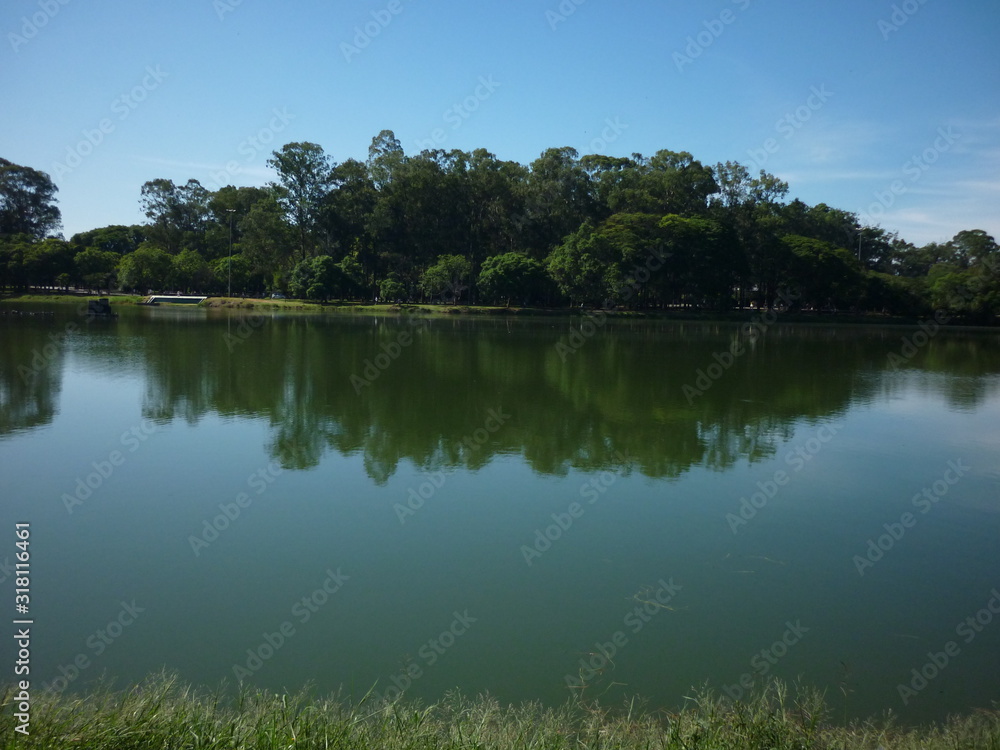 Obraz premium Ibirapuera Park is an urban park in the city of São Paulo, Brazil. In 2017, it was the most visited park in Latin America, with approximately 14 million visits, in addition to being one of the most ph