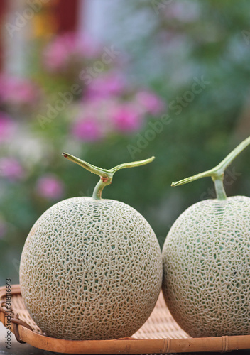The cantaloupe melon on a wicker basket