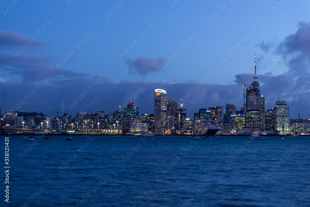 The beautiful city view of Auckland from the other side